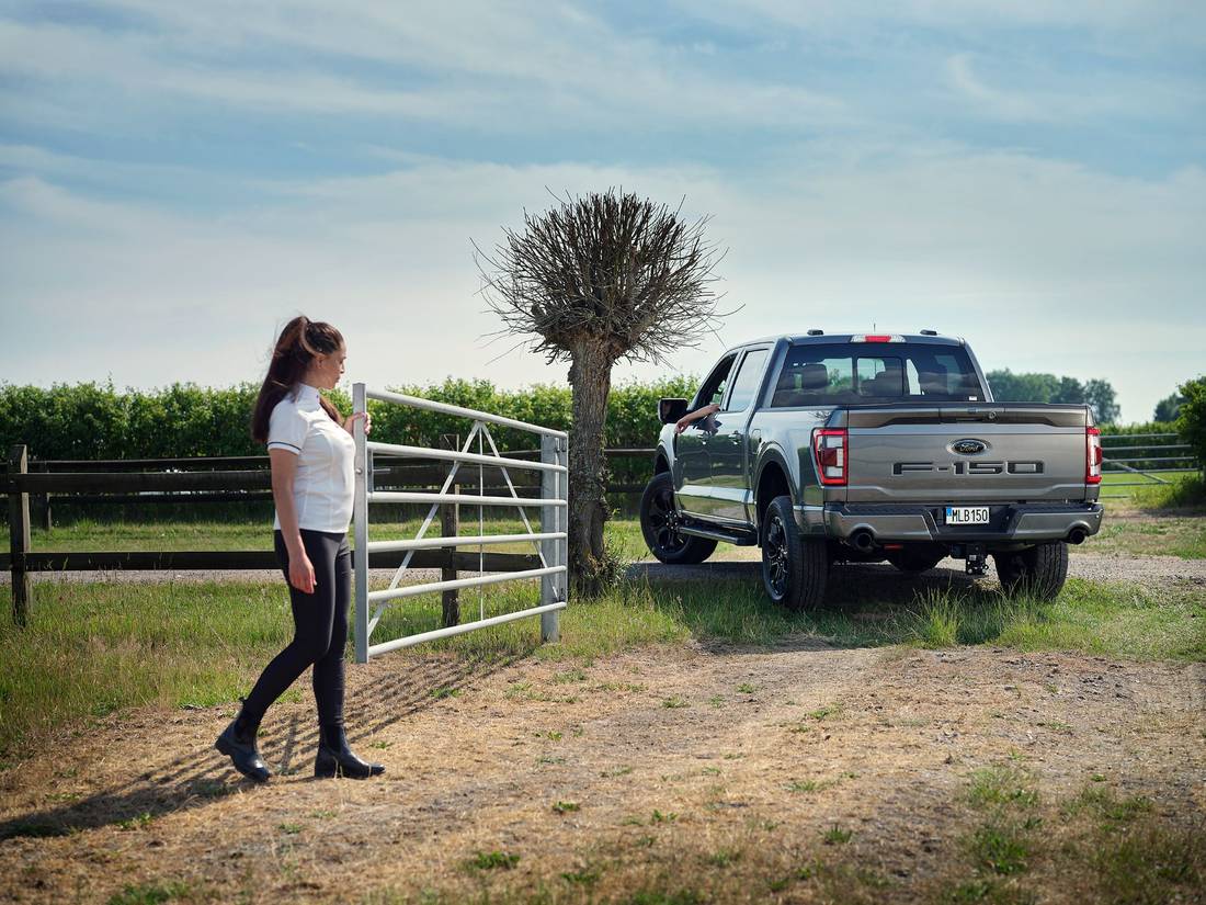 Ford-F150-Belgie-2025 01